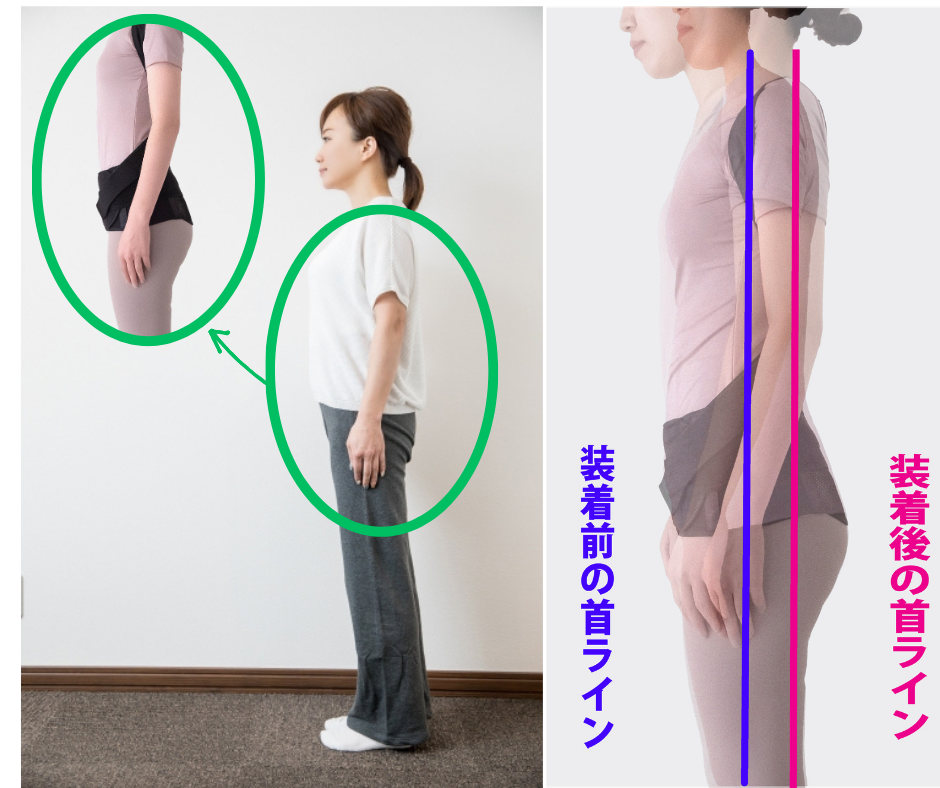 良感肌屋の『骨盤からととのえるメッシュの背筋サポーター』を付けた例