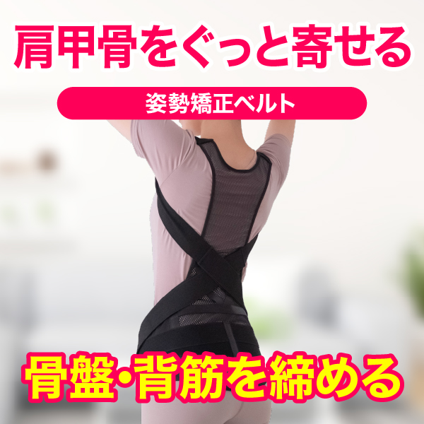 骨盤からととのえるメッシュの背筋サポーター｜姿勢矯正ベルト